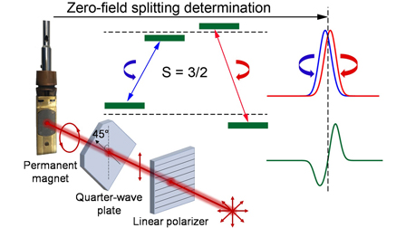 Zero-field splitting determination using circular dichroism FTIR